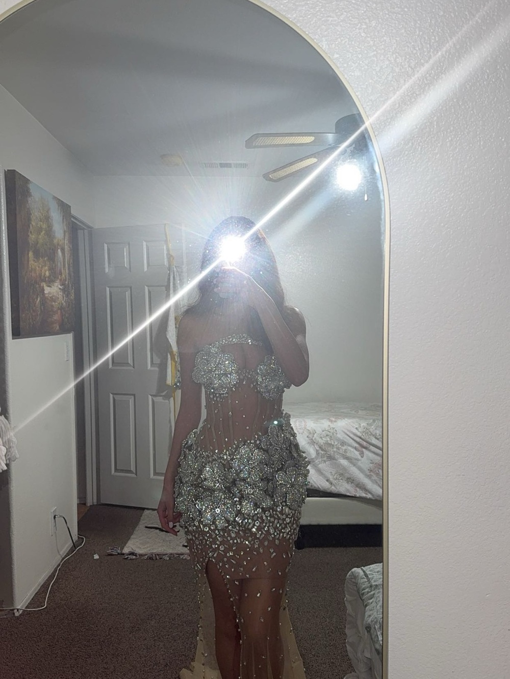 Embellished Sheer Illusion Evening Dress in Silver